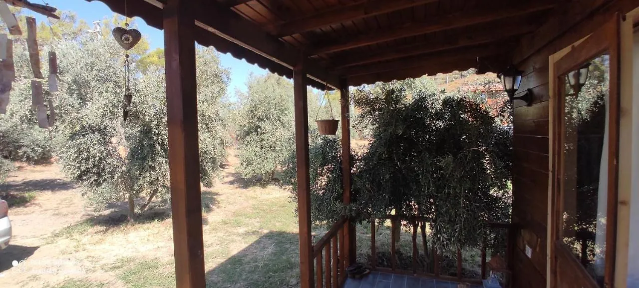 Olive Garden Bungalow Fethiye Türkiye
