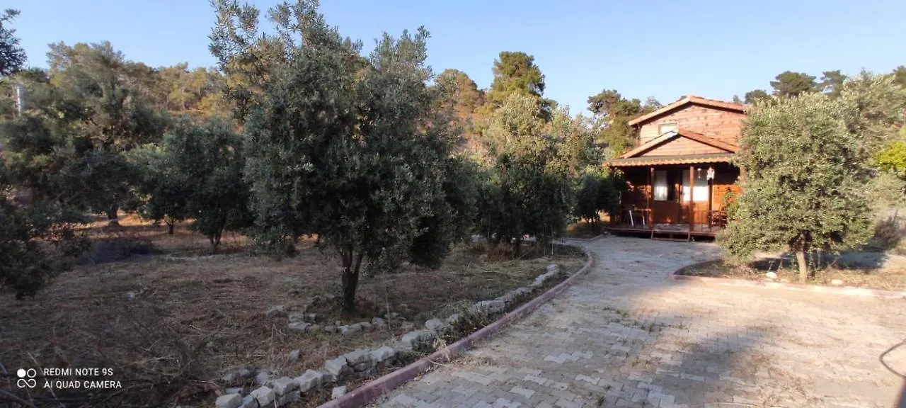 Olive Garden Bungalow Fethiye