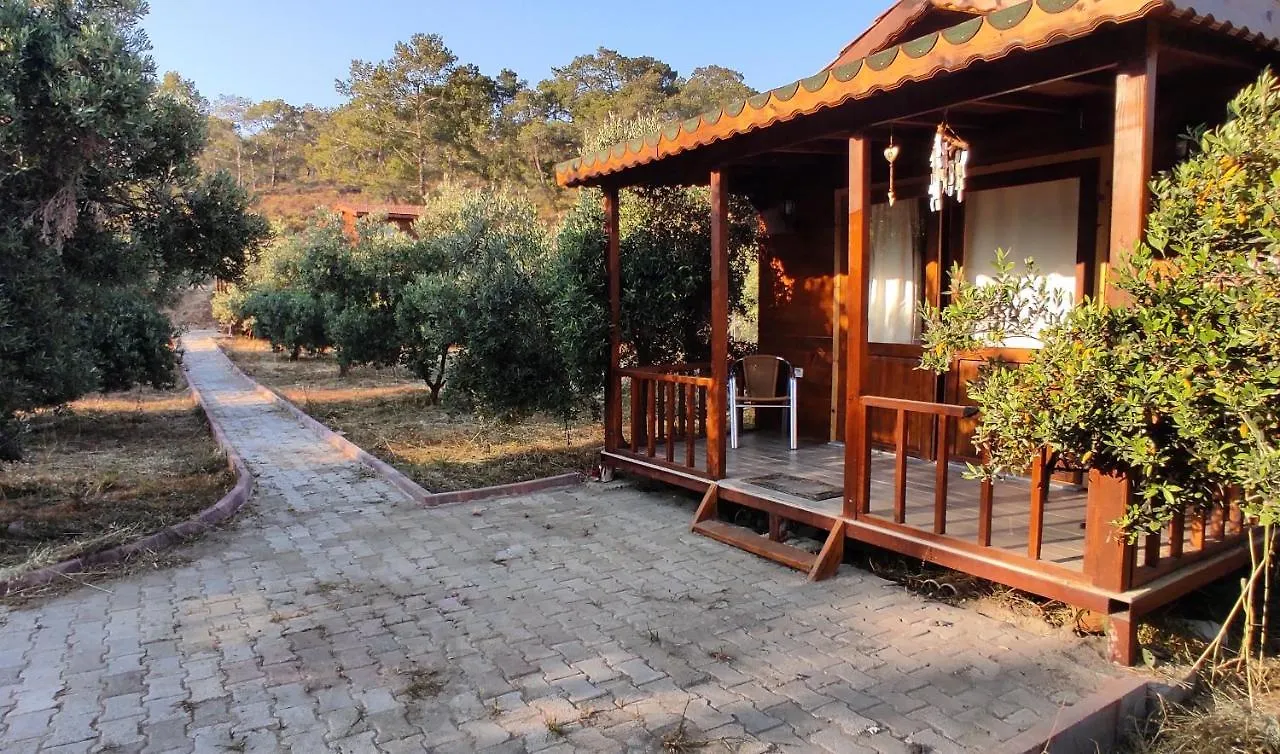 Olive Garden Bungalow Fethiye Türkiye