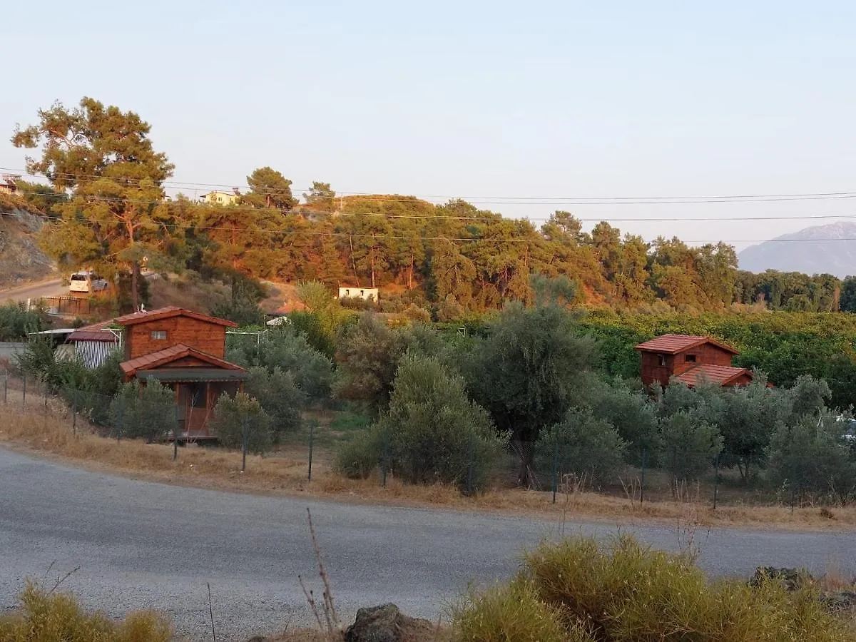 Tatil Evi Olive Garden Bungalow Fethiye